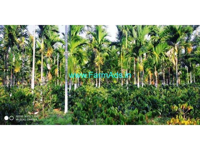 7 Acres Coffee Farm land for sale in Chikmagalur