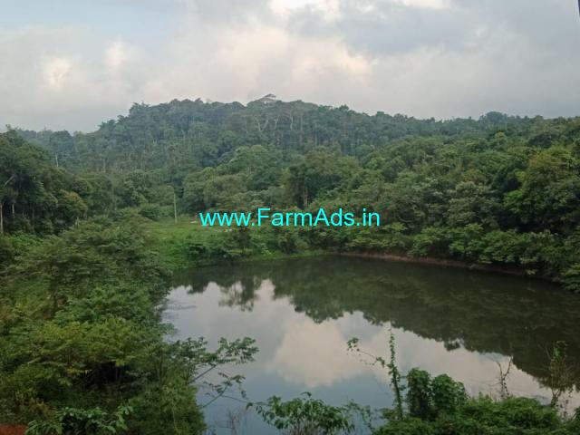17 Acre coffee estate for sale in Mudigere