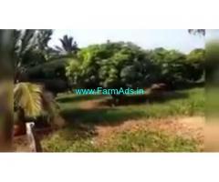 5 Acres 20 Gunta Farm Land For Sale In  P Halli Doddi
