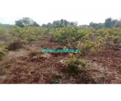 20 Acres Agriculture Land  For Sale In Zahirabad
