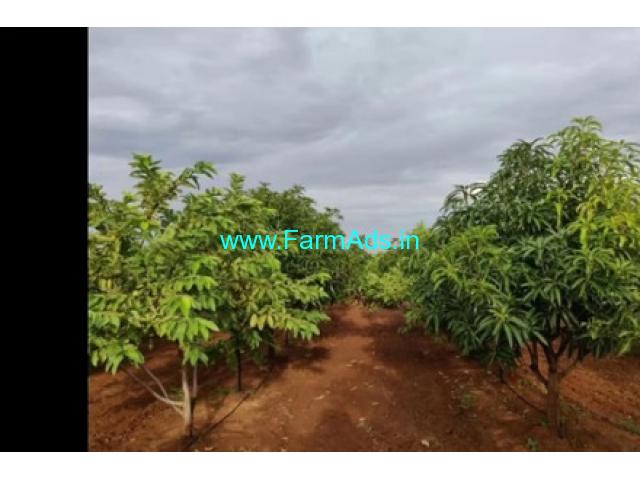 85 Acres Agriculture Land  For Sale In Penukonda