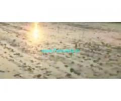 12 Acres Agriculture Land  For Sale In Chityala Mandal