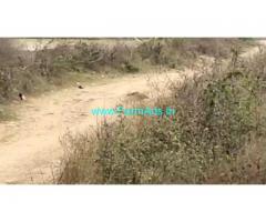 Low Cost 1200 Acres Agriculture Land  For Sale In Kollapur