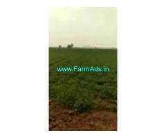 4 Acres Farm Land For Sale In Ongole
