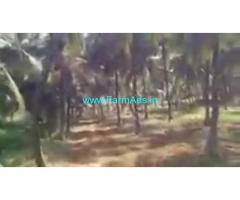 1 Acre 20 Gunta Agriculture Land  For Sale In Channapatna