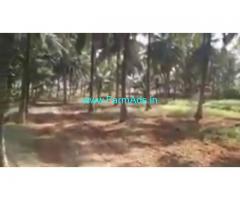 1 Acre 20 Gunta Agriculture Land  For Sale In Channapatna