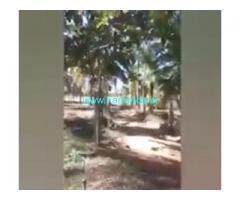 3 Acers Farm Land For Sale In Tumukur