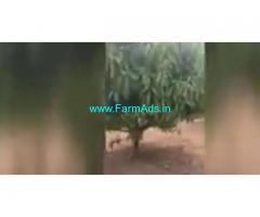 4 Acres Agriculture Land  For Sale In Talakondapalli