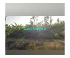 126 Acres Agriculture Land  For Sale In Dharmapura