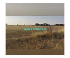126 Acres Agriculture Land  For Sale In Dharmapura
