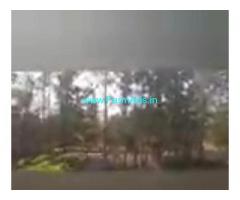 13 Acres Agriculture Land  For Sale In Sangareddy​