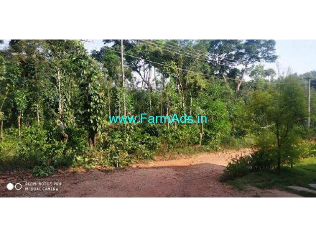 25 Acres Coffee estates with homestay for sale near Chikmagalur
