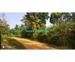 50 Acre Farm land for sale in Chikmagalur