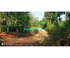 50 Acre Farm land for sale in Chikmagalur