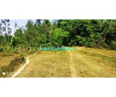 3 Acre converted land for sale at Mudigere Sakleshpur border