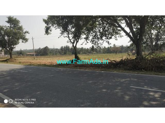 2.5 Acre land for sale on Hassan Belur road