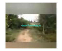 12 Acres Agriculture Land  For Sale In Bagepalli