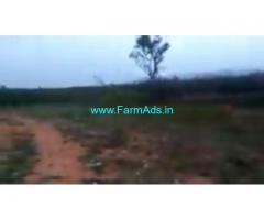 13 Acres Agriculture Land  For Sale In Bagepalli​
