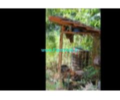 2.26 Acers Farm Land For Sale In Nellyadi