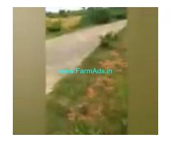 3 Acres 30 Gunta Agriculture Land  For Sale In Bagepalli