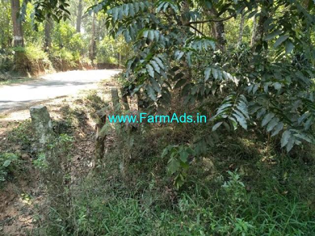 2.5 Acre neglected Coffee plantation sale in Chikmagalur