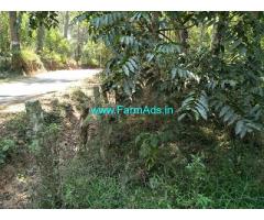 2.5 Acre neglected Coffee plantation sale in Chikmagalur