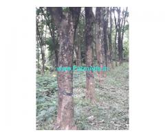 4 acres agriculture property for Sale at Belthangady