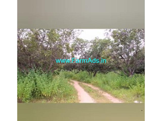 3.47 Acres Agriculture Land  For Sale In  Vasanthanagar