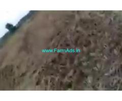 1 Acers Agriculture Land  For Sale In Warangal