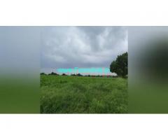 320 Acres Agriculture Land  For Sale In Challakere