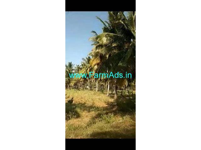 3 Acres Farm Land For Sale In Lakkavvanahalli