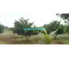 18 Acres Agriculture Land  For Sale In Warangal
