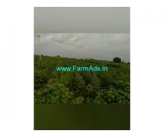 10 Acres Farm Land For Sale In Rachepalli
