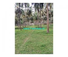 3 acre farm land for Sale near Mannur