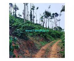 15 acre coffee estate for sale in Mudigere