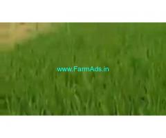12 Acres Agriculture Land  For Sale In Honnali