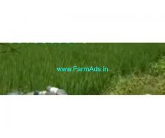 16 Acres Agriculture Land  For Sale In Kottapalli
