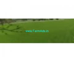 16 Acres Agriculture Land  For Sale In Kottapalli