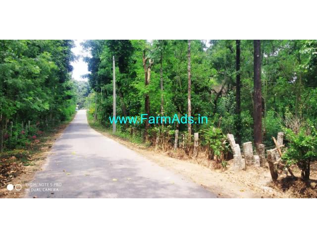 1.5 acre coffee estate for sale in Chikkamagaluru