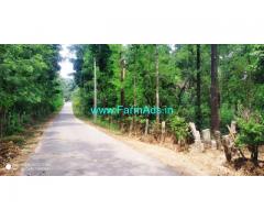1.5 acre coffee estate for sale in Chikkamagaluru