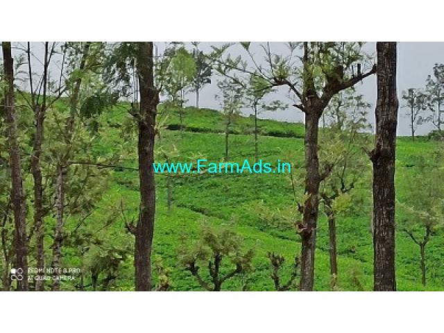 2850 acres of well maintained Tea Estate for sale in Ooty