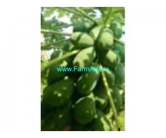 17 Acres Farm Land For Sale In Madanapalle