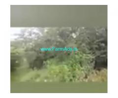 4 Acres Agriculture Land  For Sale near NH 7 Hyderabad