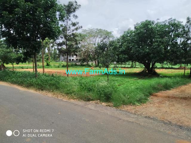 7.5 Acres Agriculture land for Sale Near Bidadi