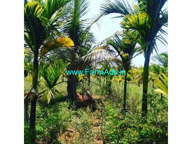 7 Acre Coconut and Arecanut plantation for sale near Chikmagalur