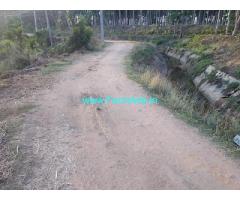 2.5 Acre Agriculture land for sale in Chikkamagaluru Hiremagluru road