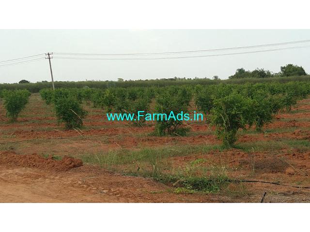 50 Acres Agriculture land Sale at Thanjavur
