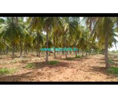 10 Acre coconuts farm for Sale at Sira taluk
