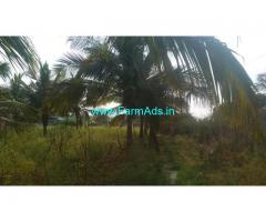 36 Gunta coconut farm Land for Sale near Kunigal