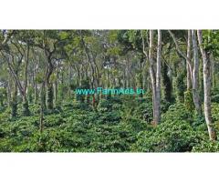 1200 acres of well managed coffee estate for sale in Valparai